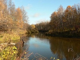 Природа заповедника