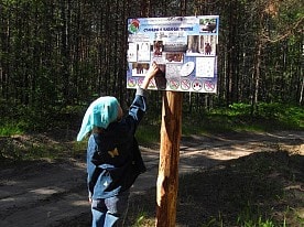 Экологические тропы
