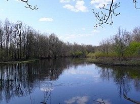 Природа заповедника