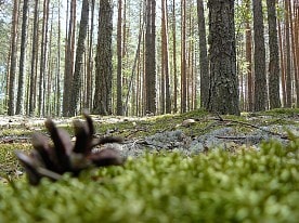Научная деятельность заповедника