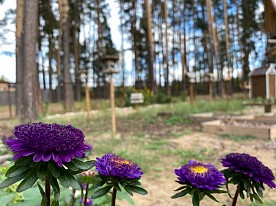 Визит-центр "Старожильск"
