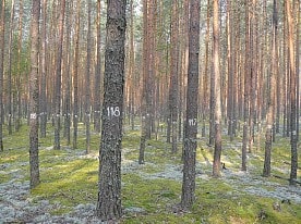 Научная деятельность заповедника