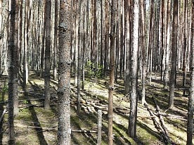 Научная деятельность заповедника