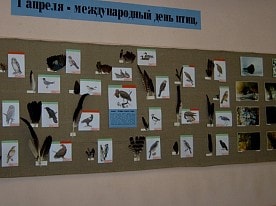 Выставки заповедника