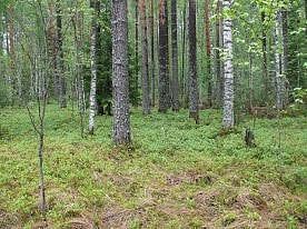 Природа заповедника